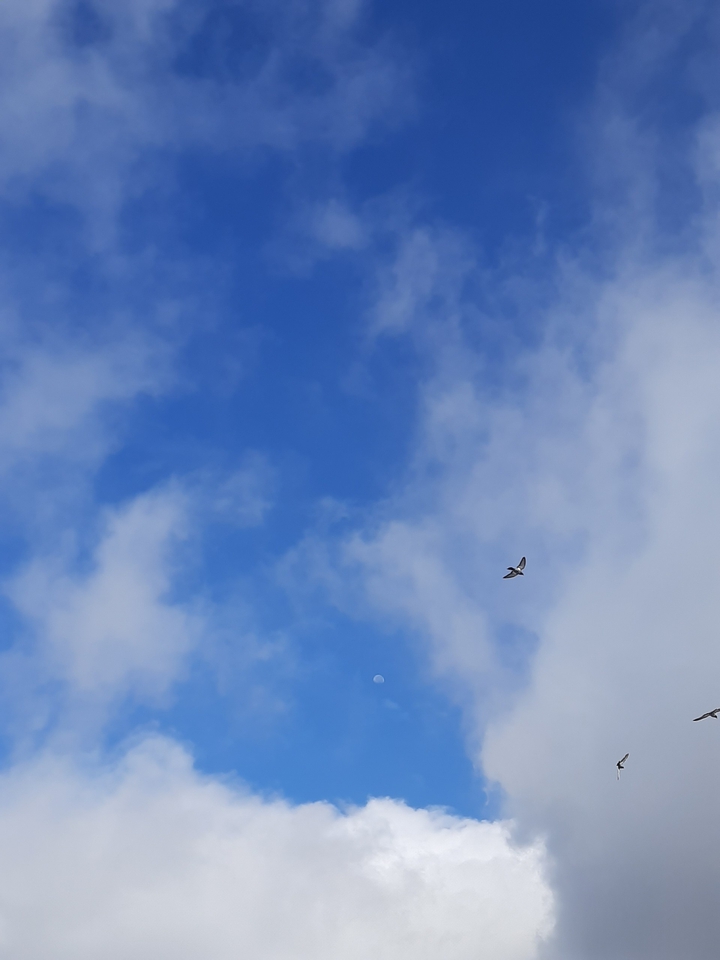 sky