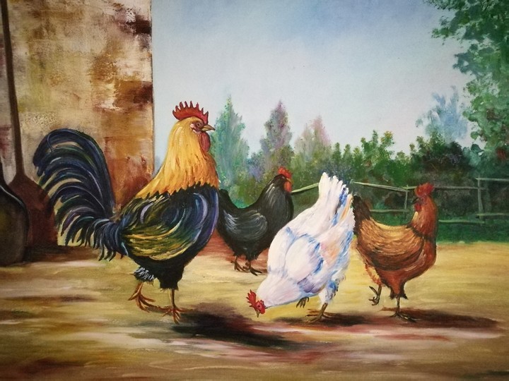 gallinero