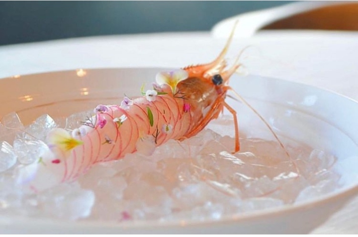 ?shrimp