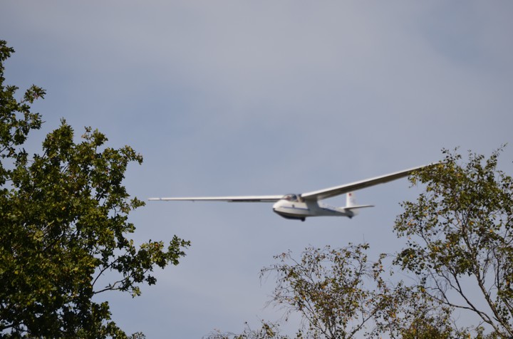 Glider