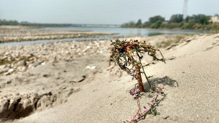 Nature's beauty