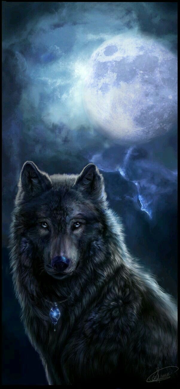 wolf wisdom