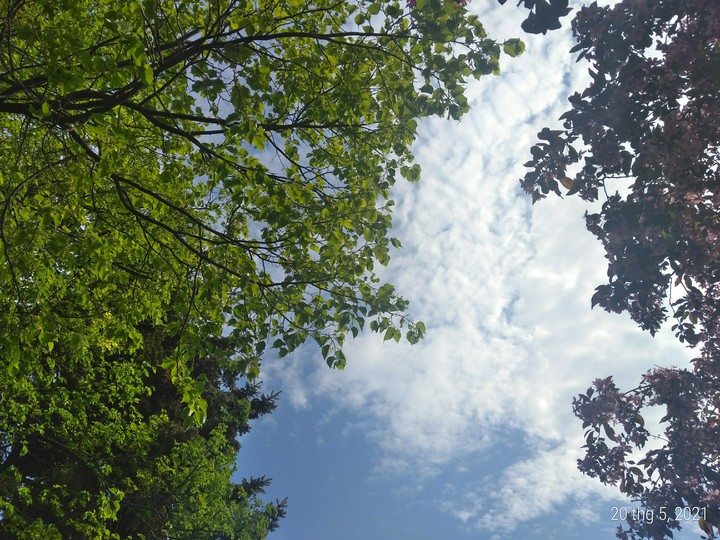 spring time