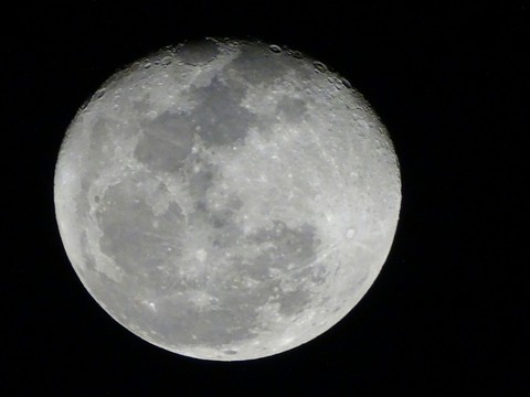Moon