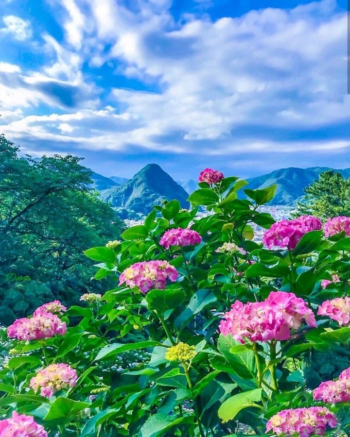 nature ❤️