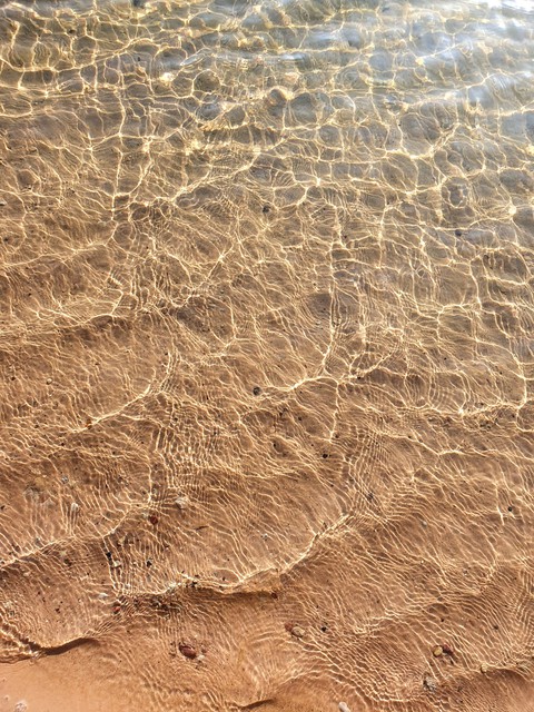 sunny water
