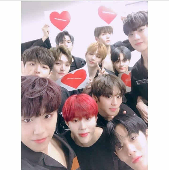 wanna one