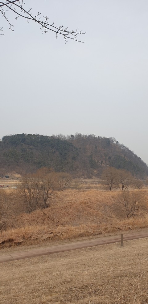 savanna, brown achtergronden