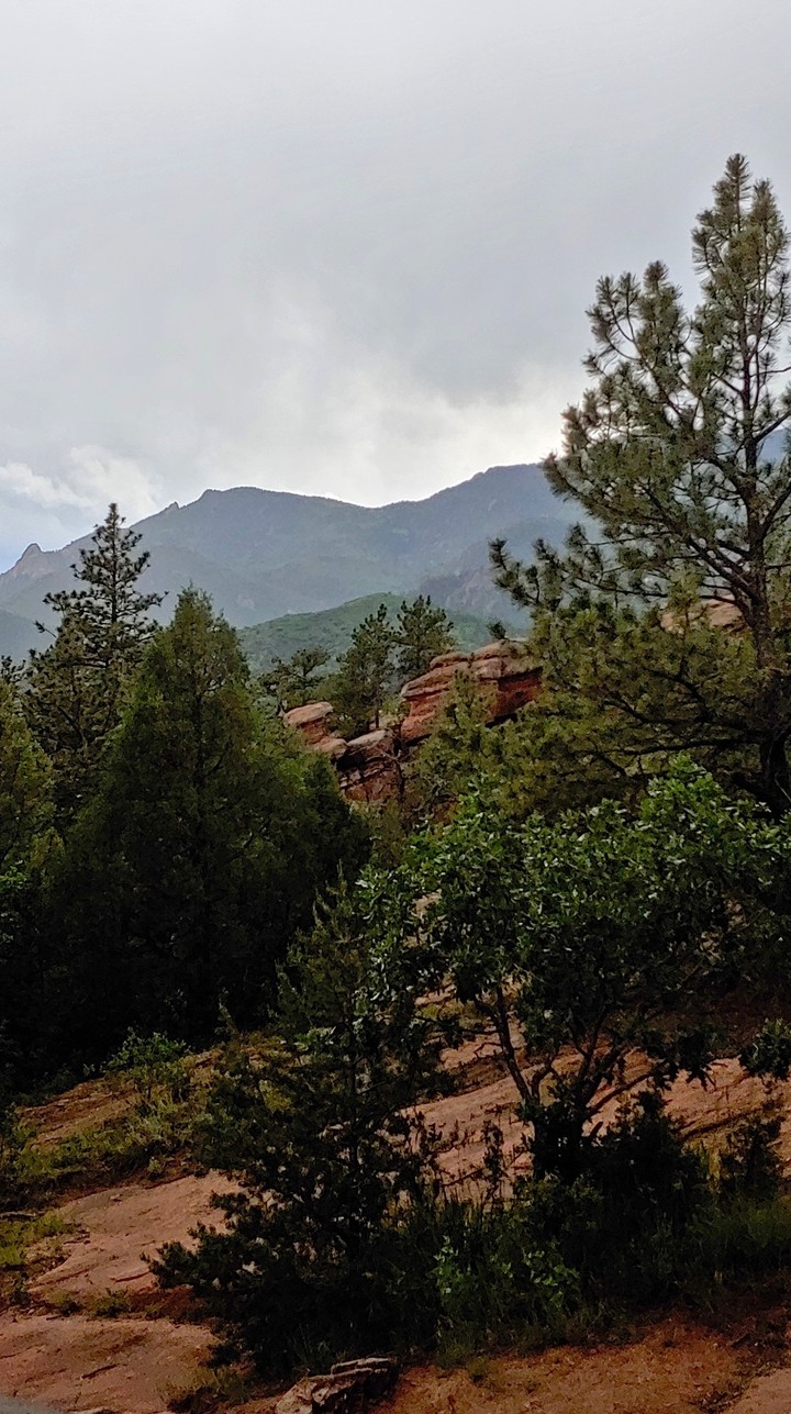 Colorado Beauty