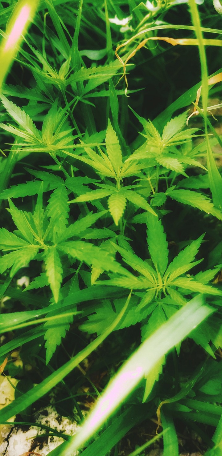 4:20