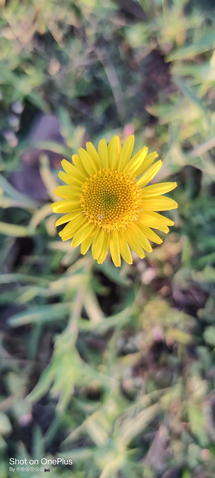 Nature beauty