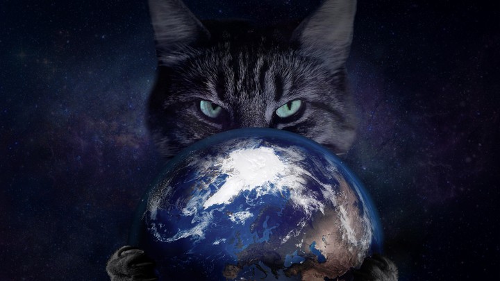 Amazing World