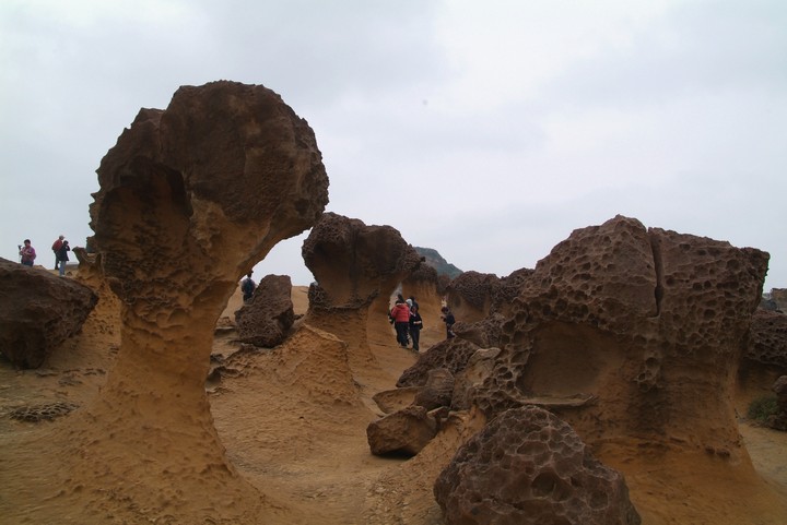 Scenics