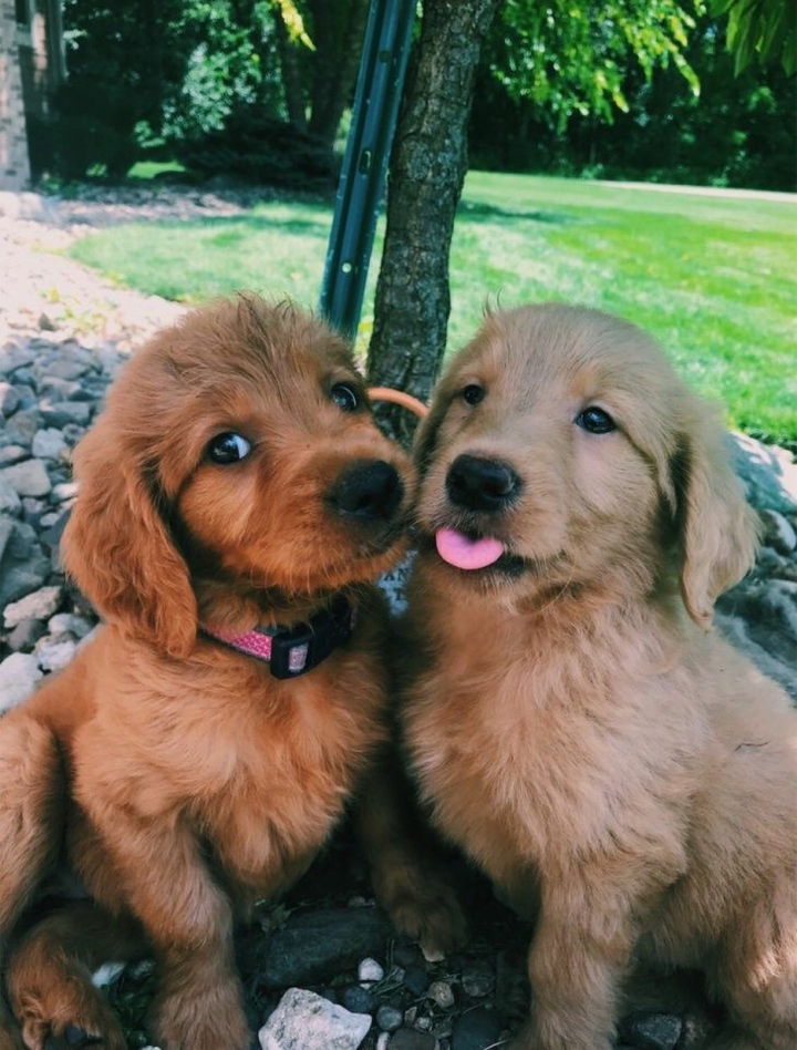 ❤️ ❤️