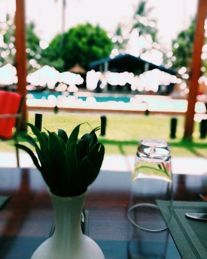 view