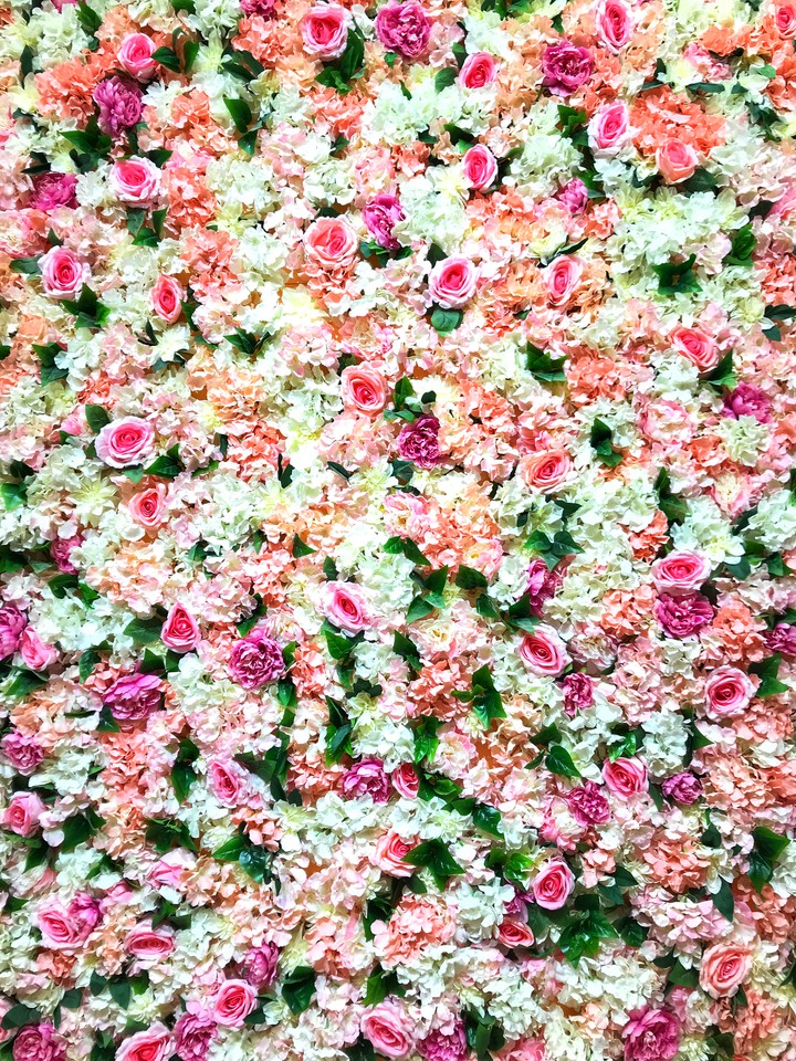 million scarlet roses