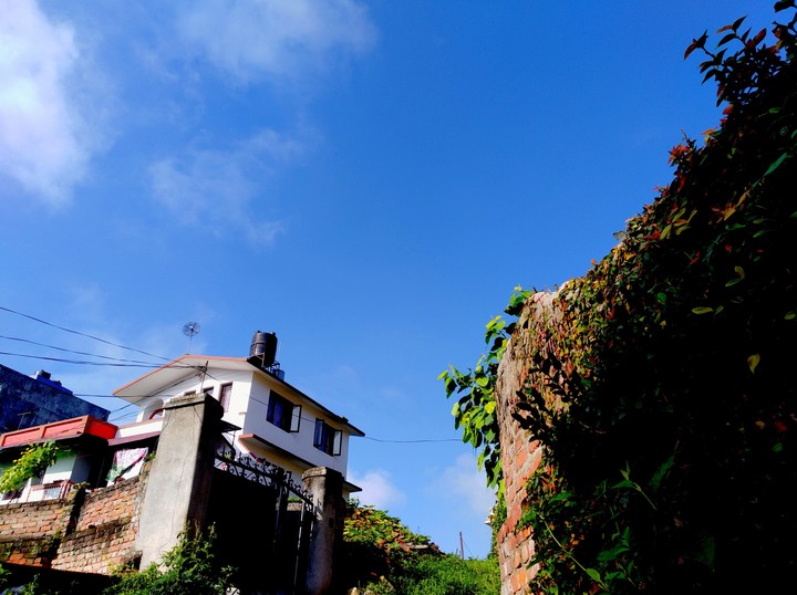 small House
