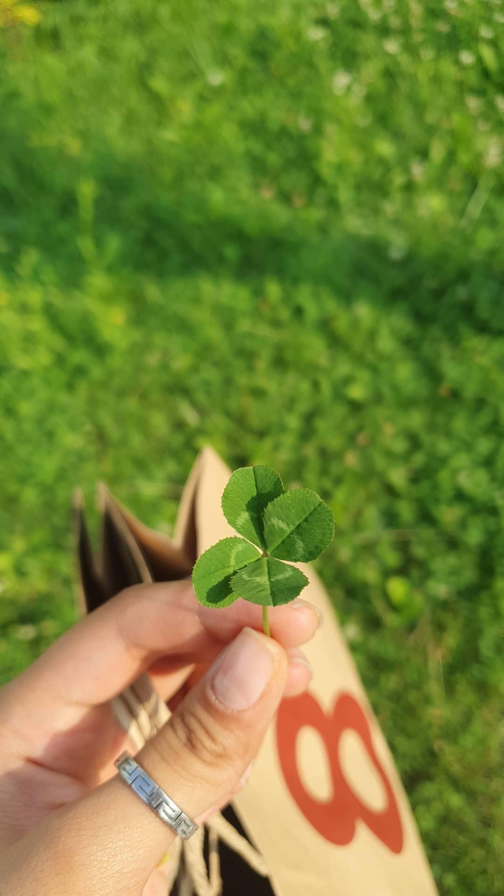 lucky