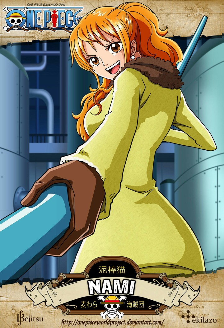 NaMI01