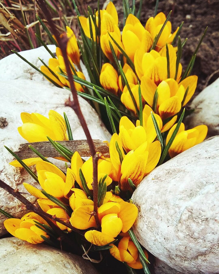 Beutiful spring...