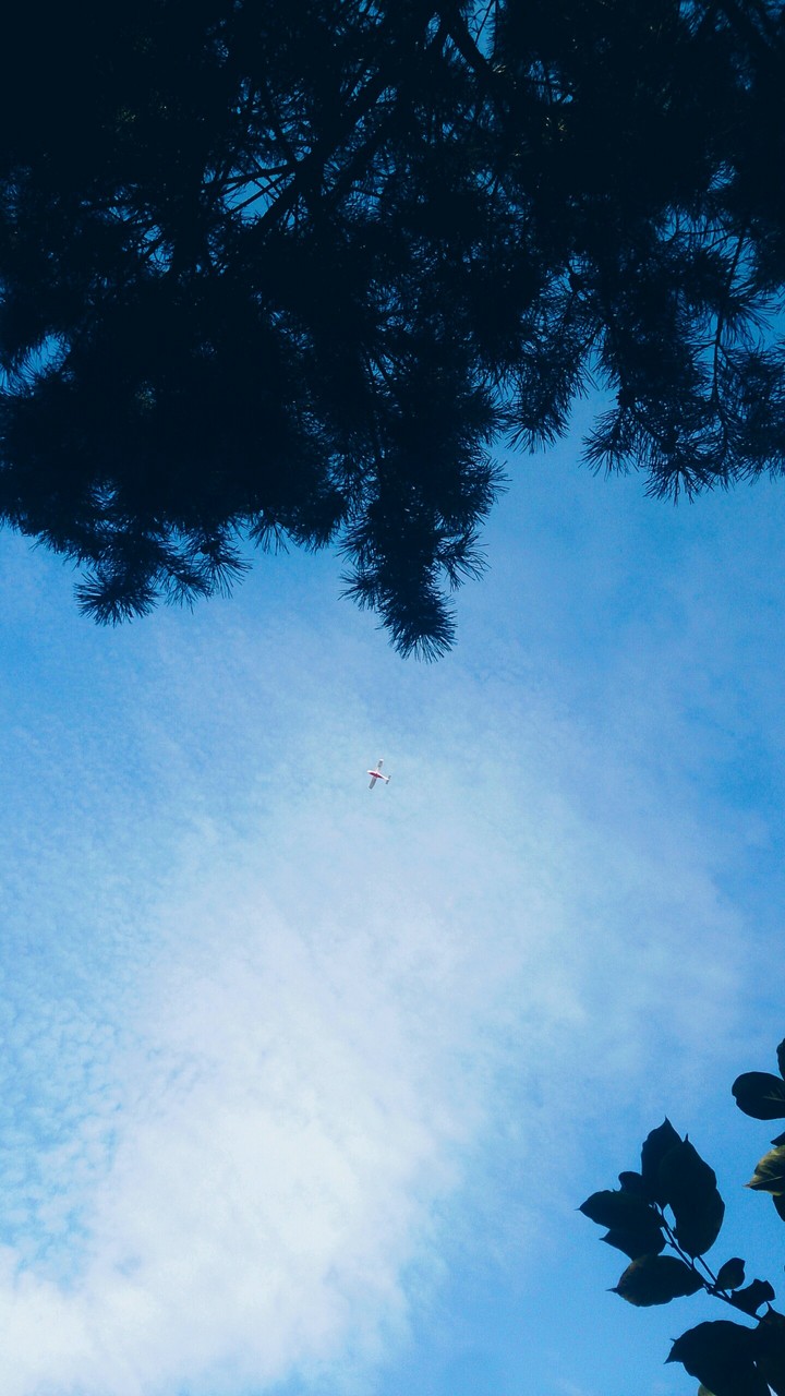 A small plane in the sky