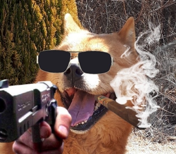 thug life dog