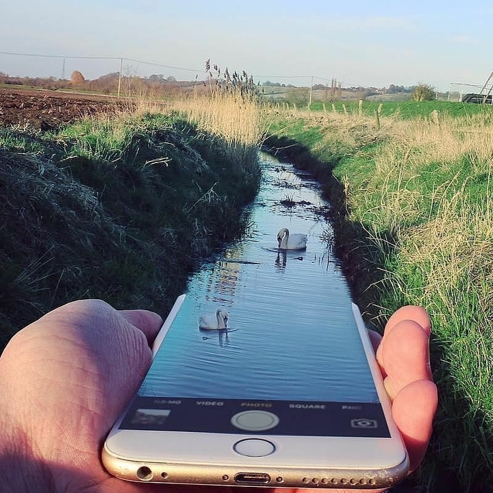 iphone6