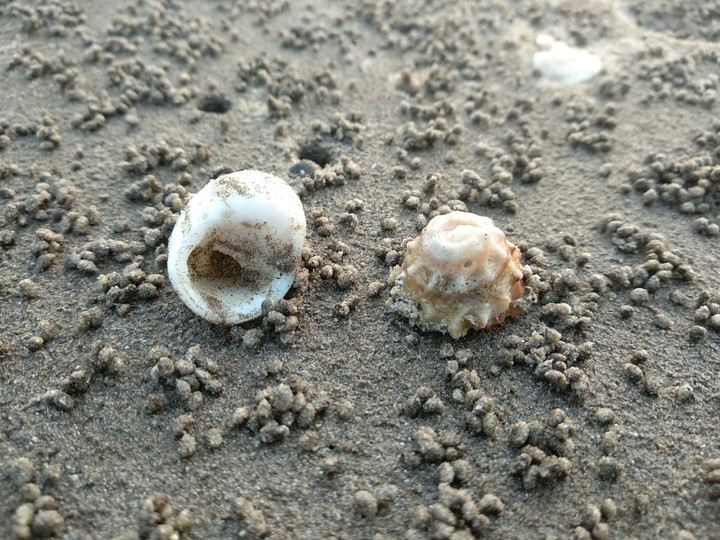 beach
