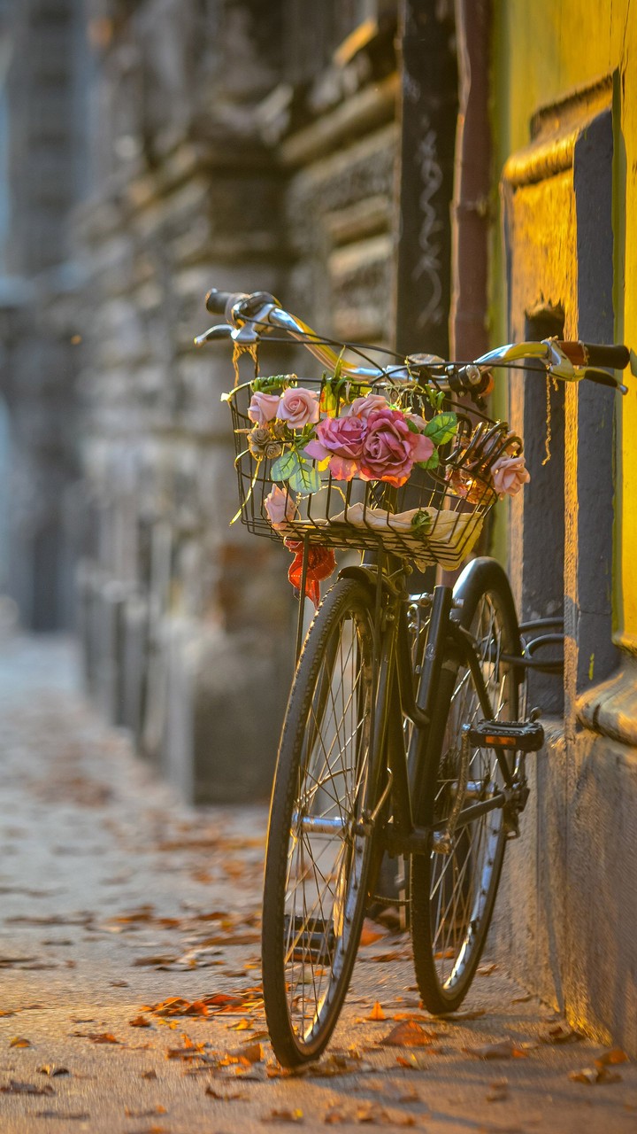 bike
