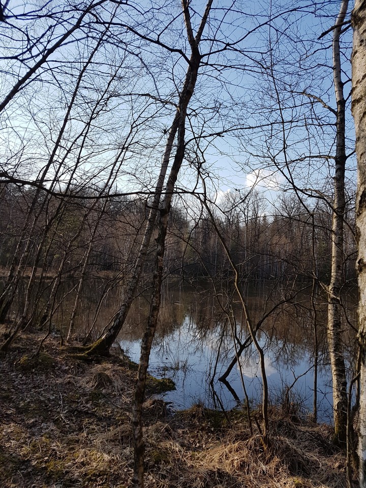 Natur5