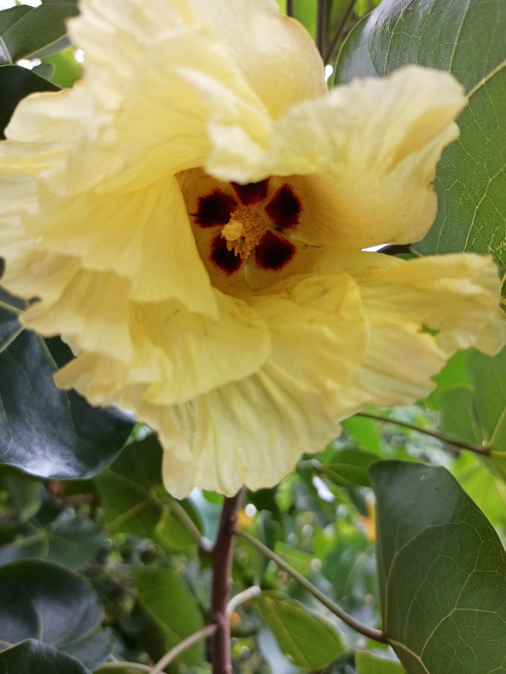 The beauty hidden