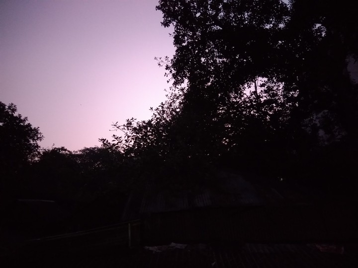 5a.m.