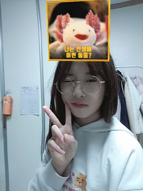 무슨 동물?...