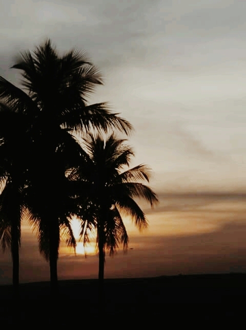 Por do Sol