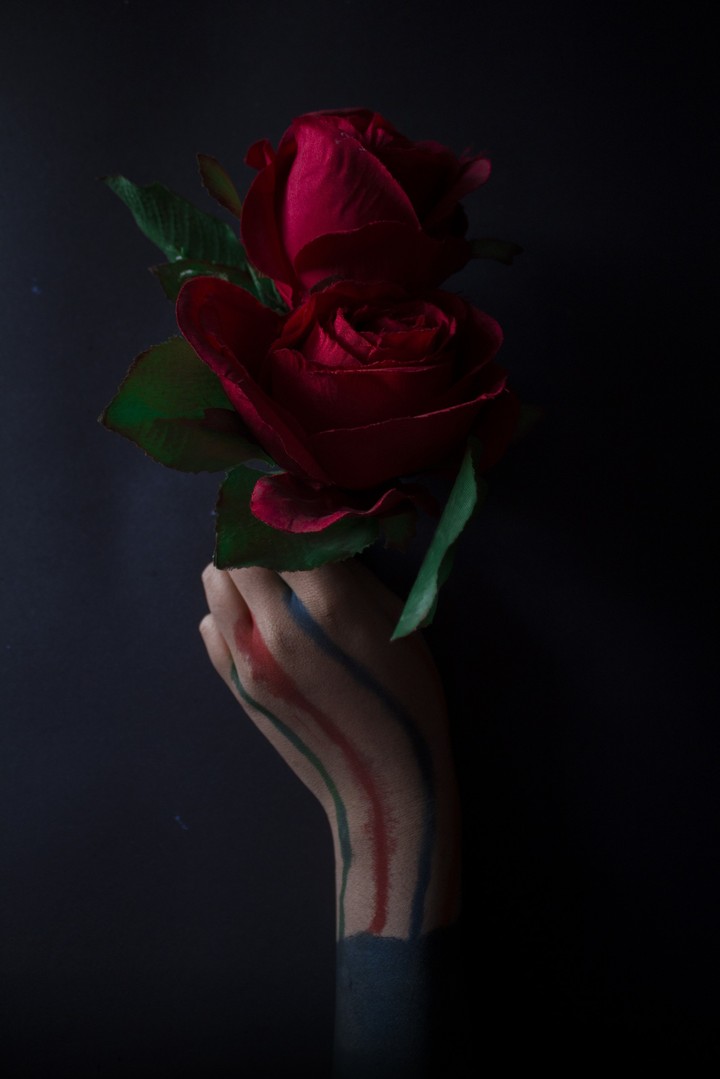 rose