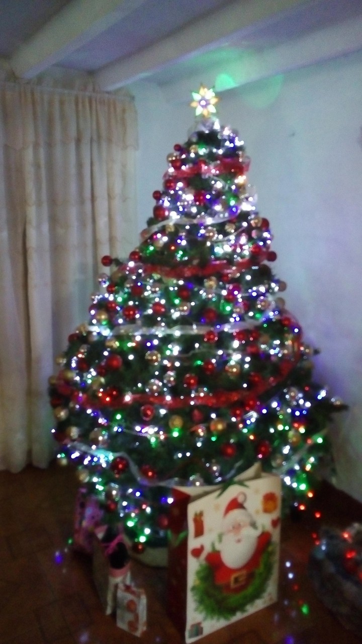 Navidad