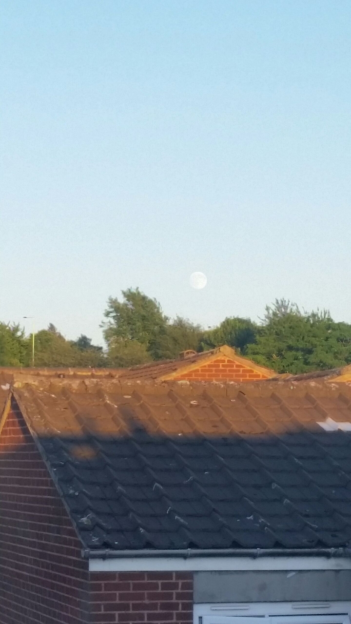 moonrise on a sunny evening