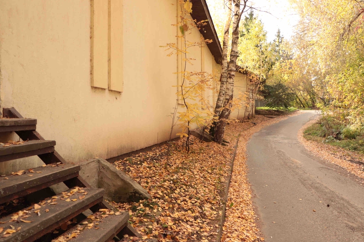 autumn road