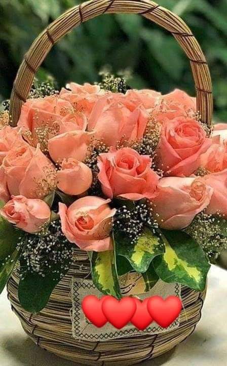 Rosas