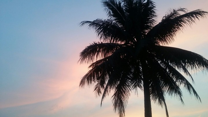 sunset