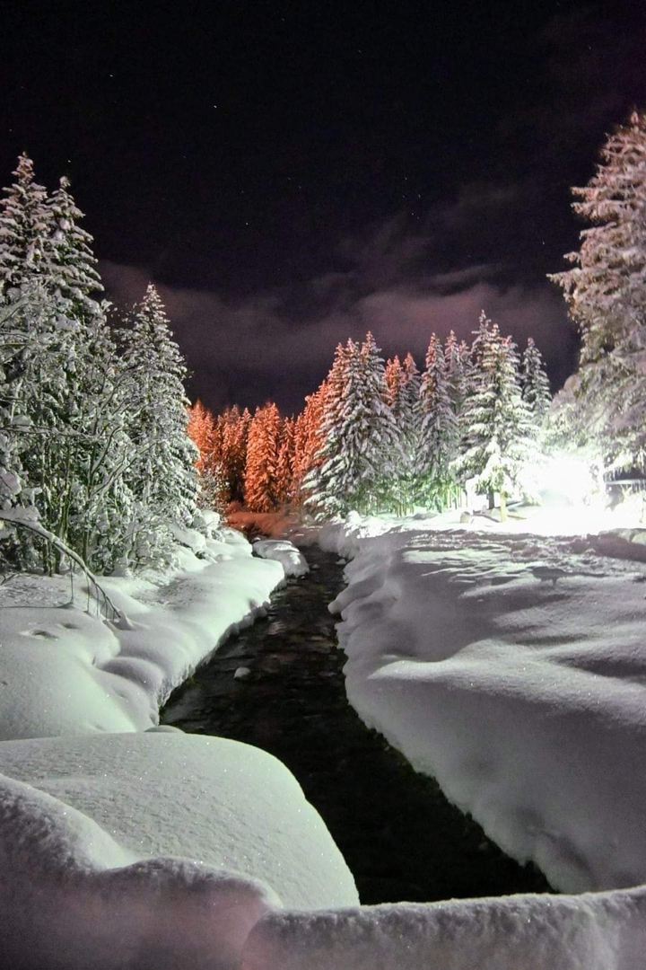 Winter
