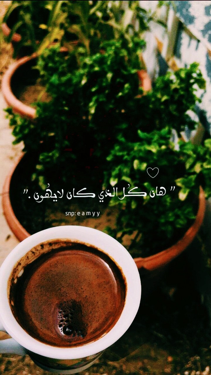 türk coffee