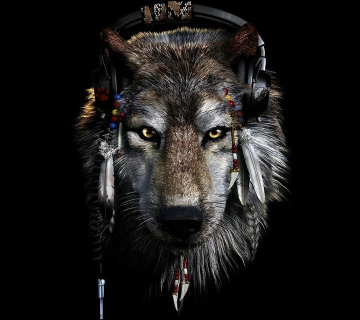 wolf