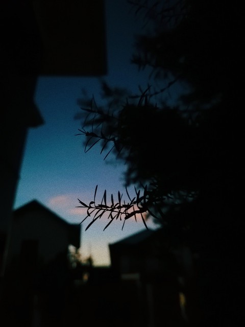 The most beautiful sunsets are the ones we share.