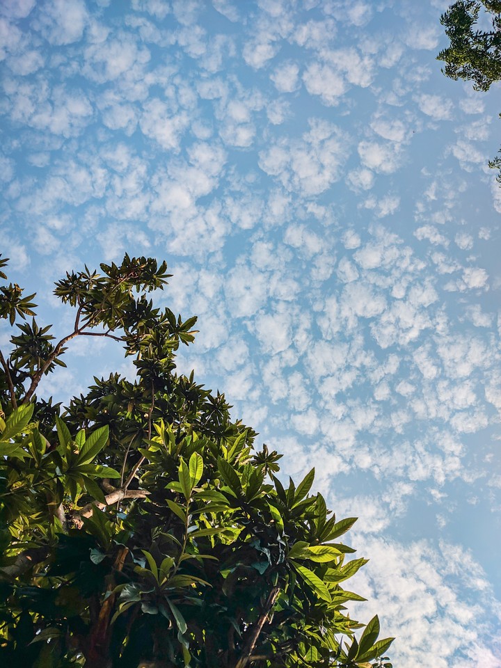 sky and clouds