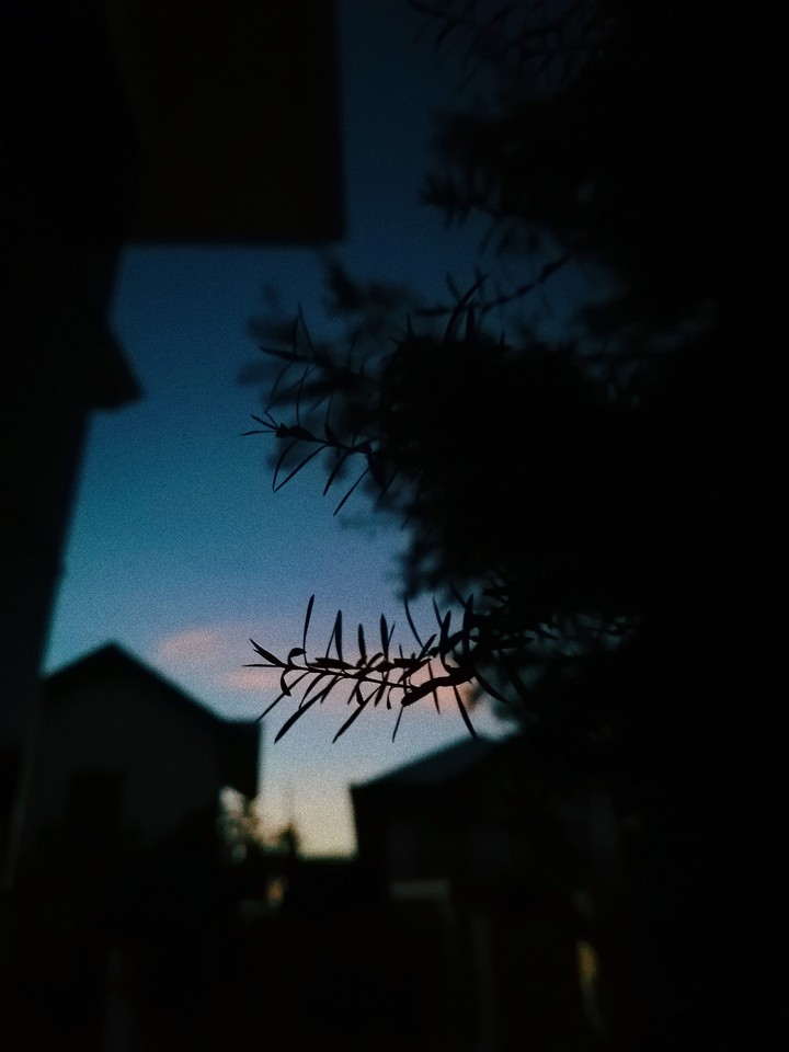 The most beautiful sunsets are the ones we share.