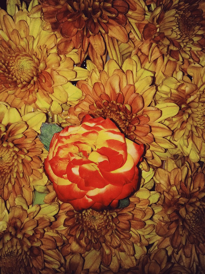 Flowers..