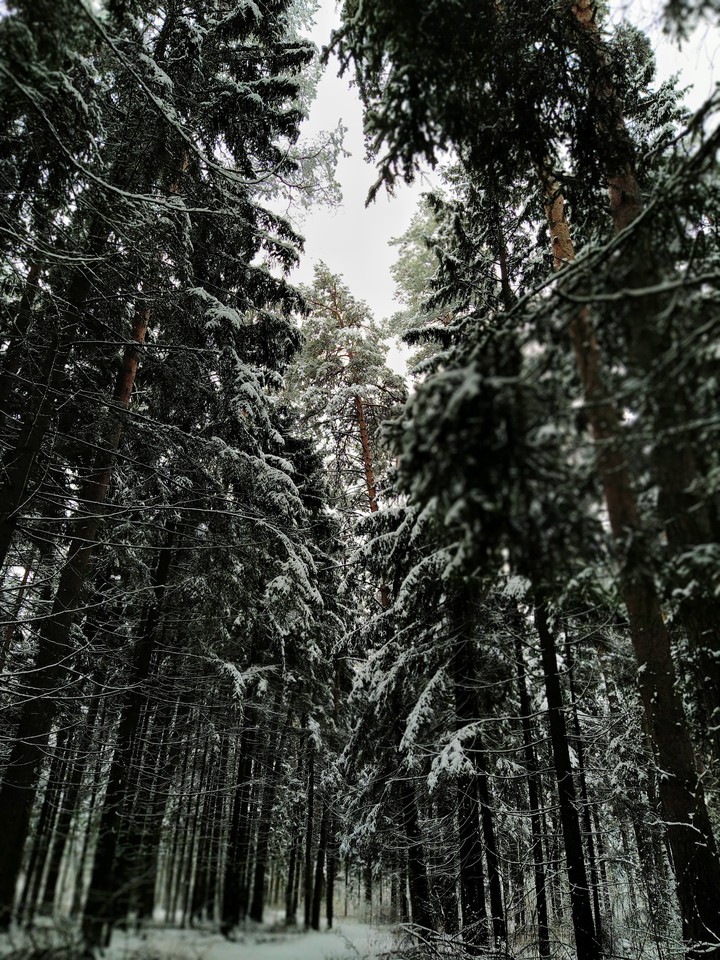 snow