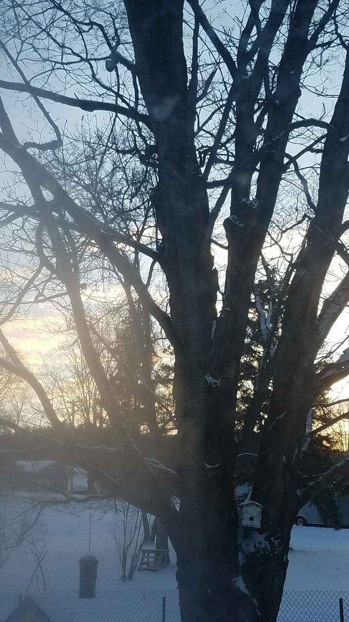 Winter