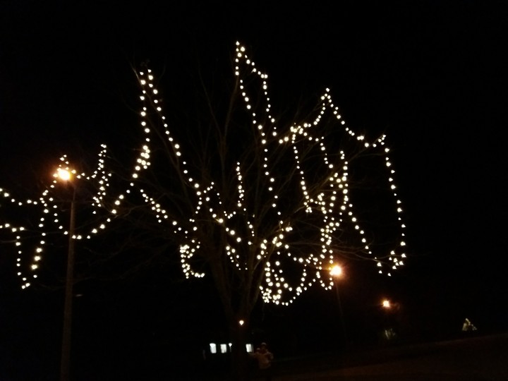 cristmas is coming